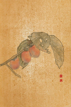 柿柿如意