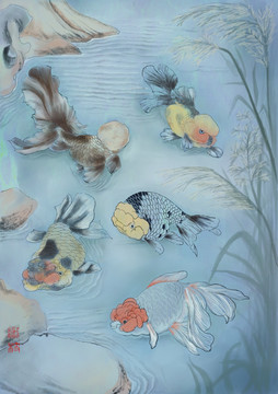 金魚鴻運當頭