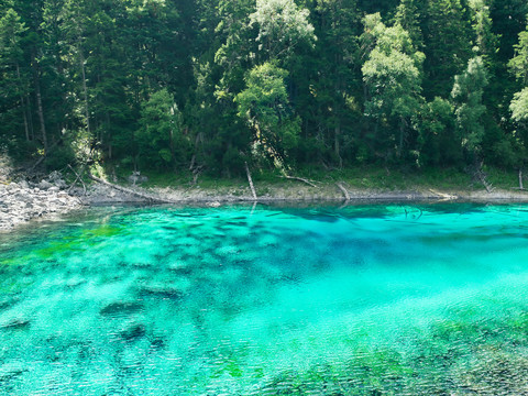 青山绿水