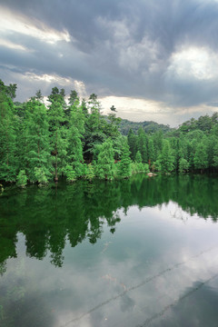 森林湖景
