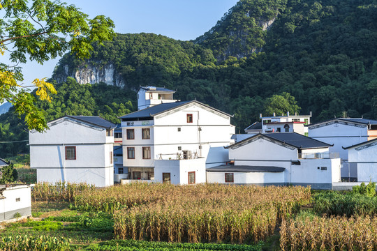 仫佬族民居