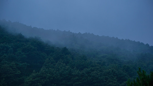 阴雨山间