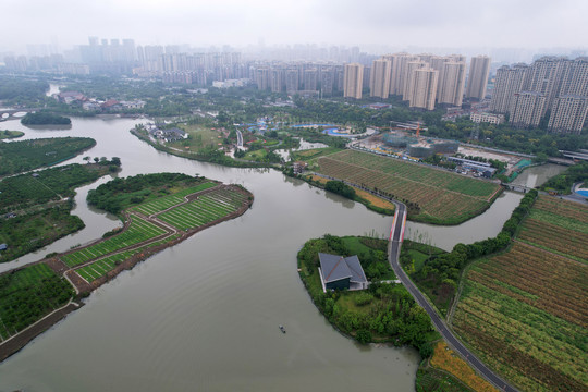 城市湿地公园