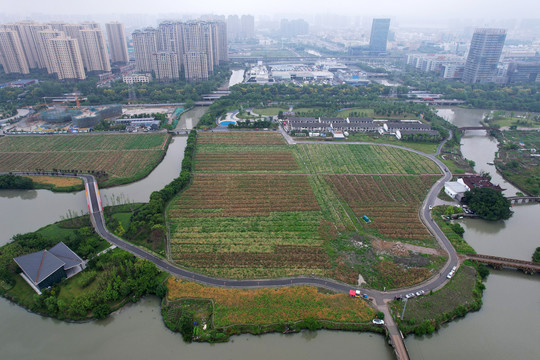 温州瓯海城市风光