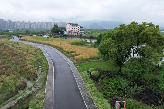 沥青道路