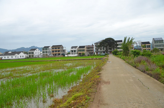 乡村道路