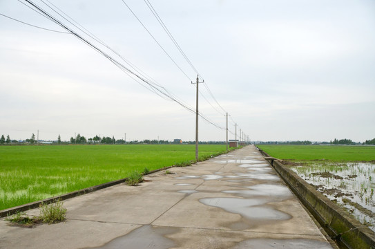 乡村道路