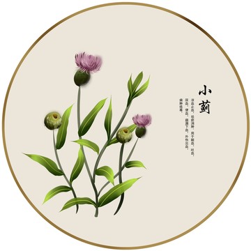 小薊