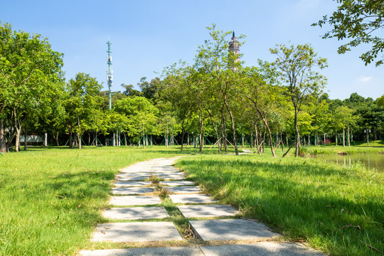 顺峰山公园小路