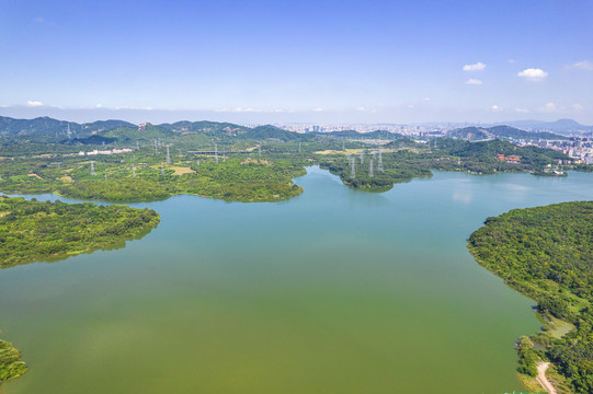 深圳石岩湖湿地公园