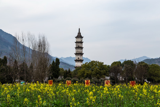 杭州新叶古村