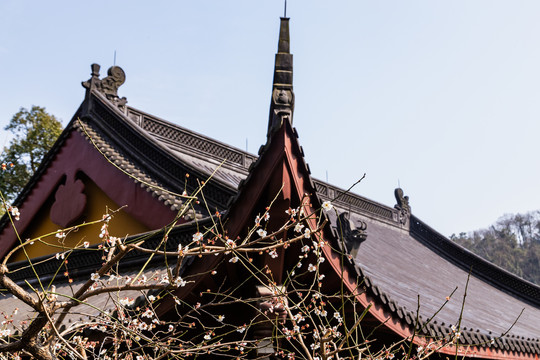 杭州永福寺