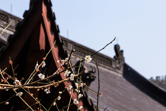 杭州永福寺