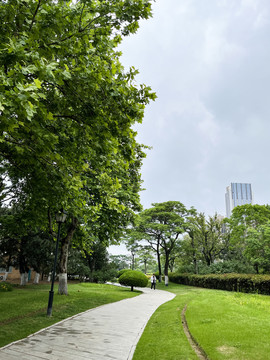 公園一角林蔭小道