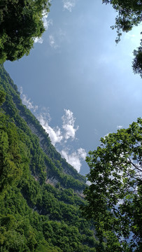 三峡竹海泗溪