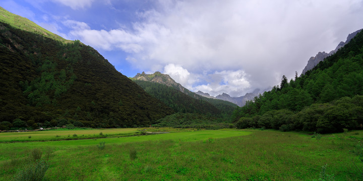 稻城亚丁冲古草甸蓝天白云草地