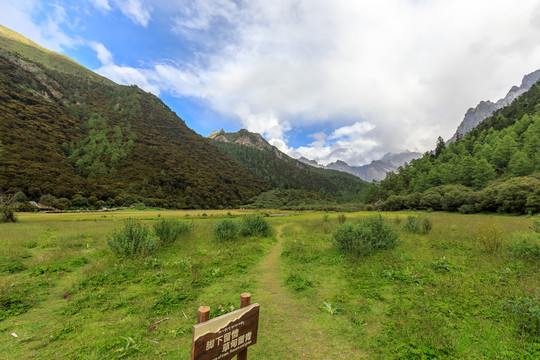 稻城亚丁冲古草甸蓝天白云草地