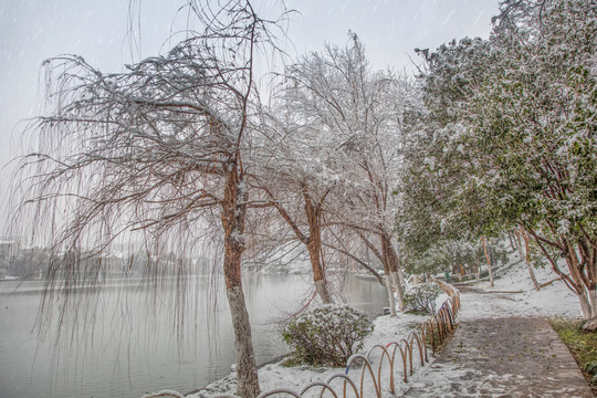 合肥黑池壩公園雪景