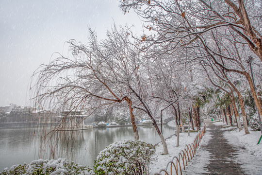 合肥黑池壩公園雪景