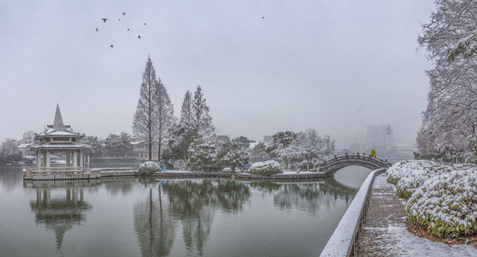 合肥黑池坝公园雪景全景图