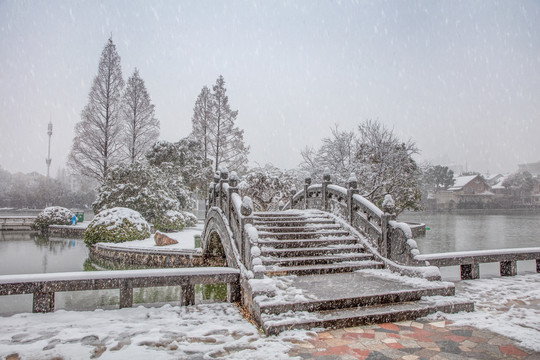 合肥黑池坝公园雪景