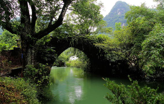 荔波田园