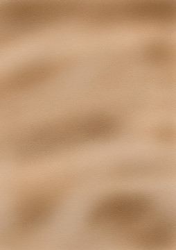 細(xì)膩皮質(zhì)紋理