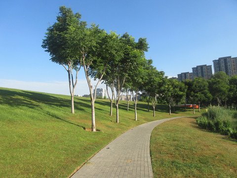 公園