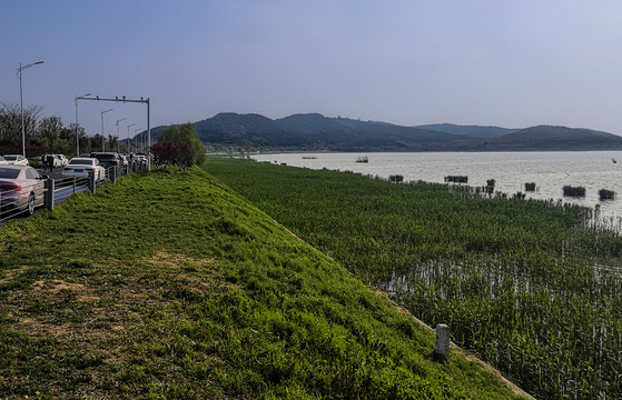 太湖丽波湾