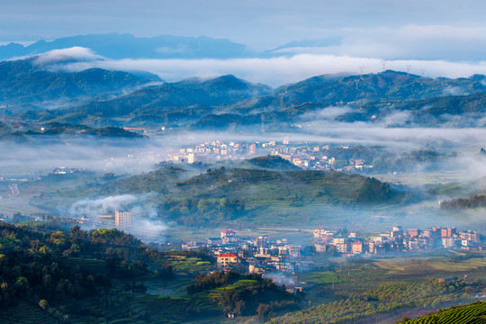 长龙茶山