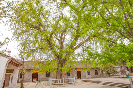 寿县报恩寺