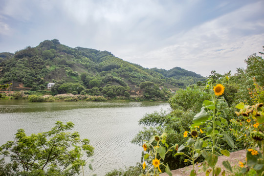 响洪甸水库库区风光