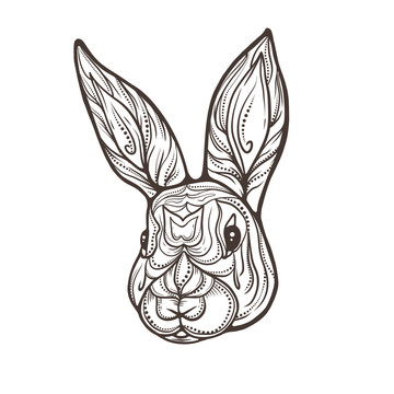 兔子线稿艺术手绘插画