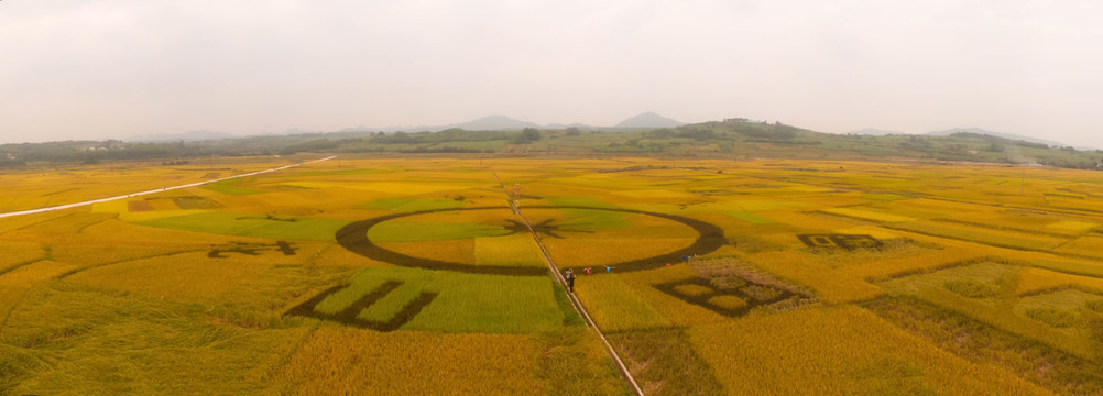 花山田园