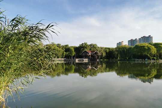 北京仰山公园