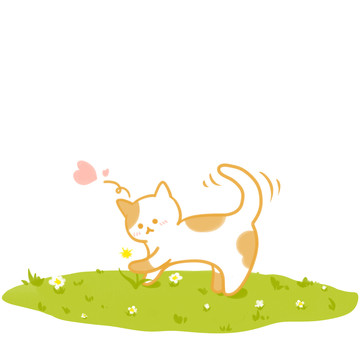 小猫咪在草坪上拨弄花花