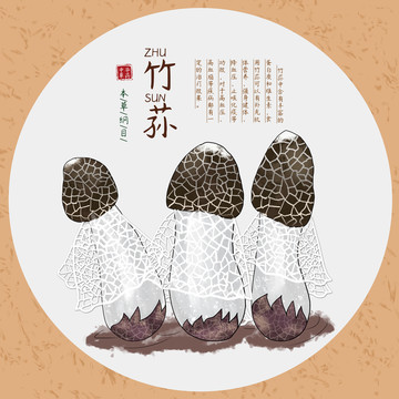 竹蓀
