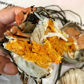 大閘蟹蟹黃