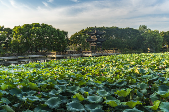 宜都市枝城镇西湖公园