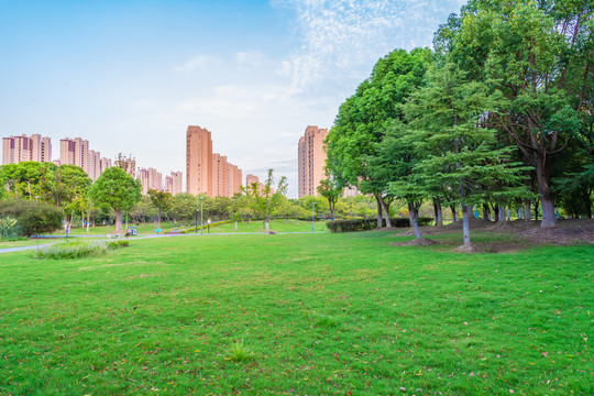 城市小区周边草地树林