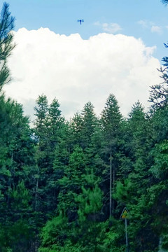 湖南永州蓝山所城长铺村良村