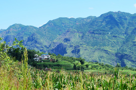 云南大山深处有人家