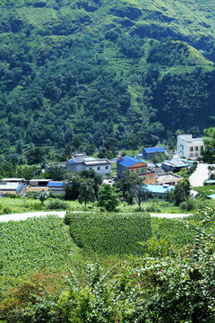 曲靖大山山村