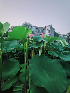 徐州云龙湖小南湖珠山