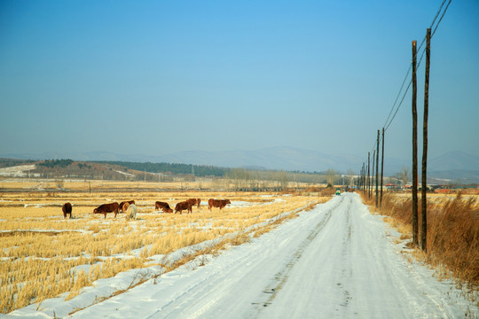 吉林珲春公路