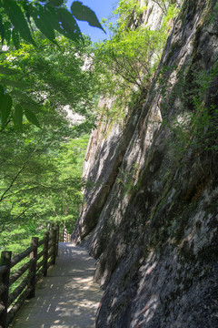 太白山三国古栈道