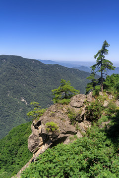 秦岭太白山