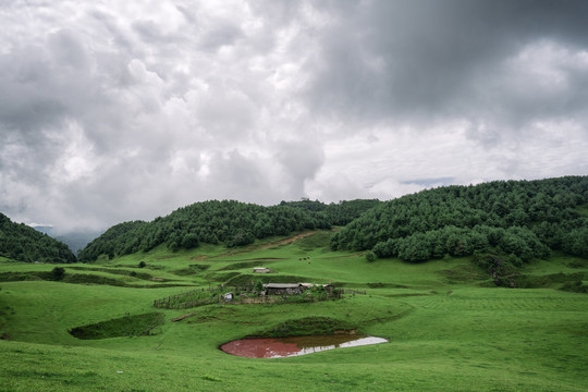 高山草场