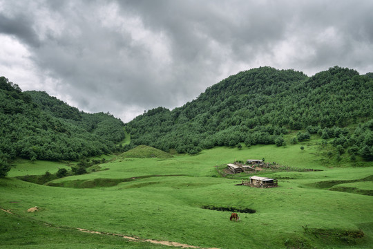 高山牧场