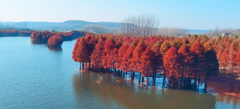 生态水上森林